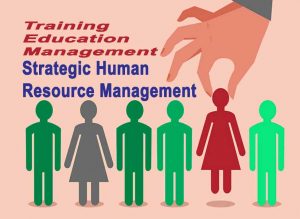 Training Consulting Services